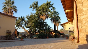 A courtyard with stone flooring, palm trees, and a reception area. - Il Giardino del sole (Carlentini)