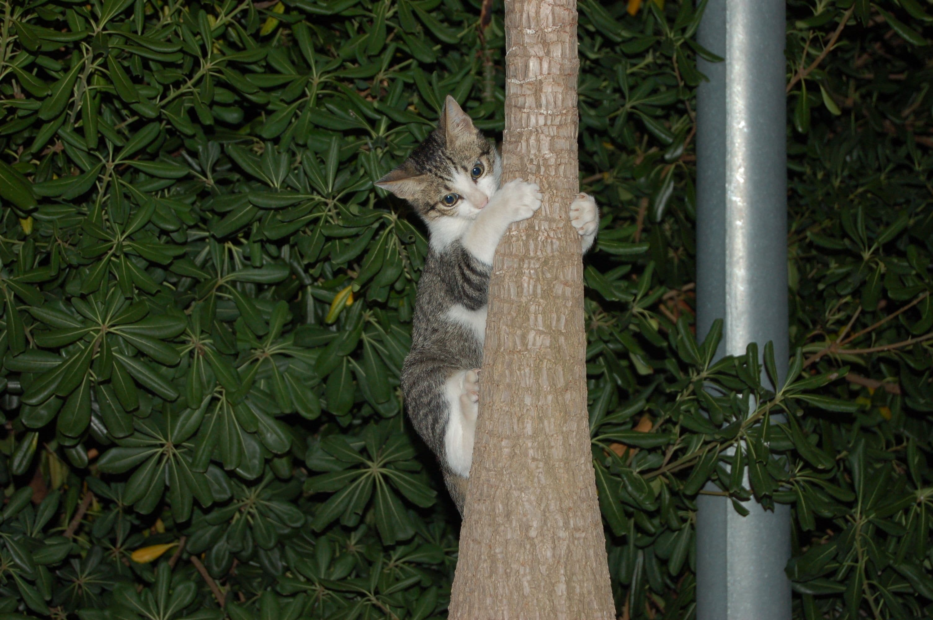Photo - Il Giardino Del Sole