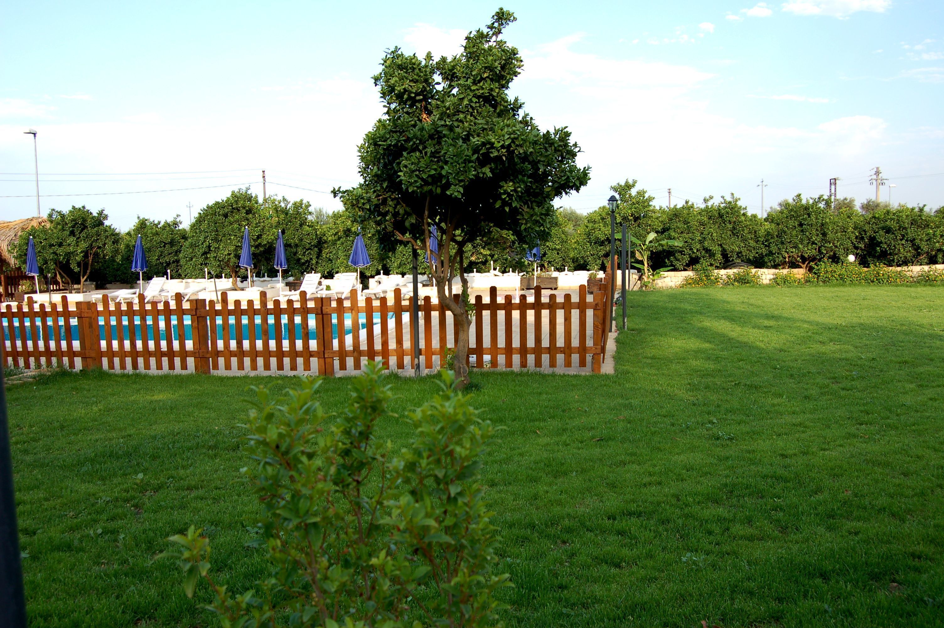 Un espacio al aire libre cercado con piscina, árboles y sombrillas.