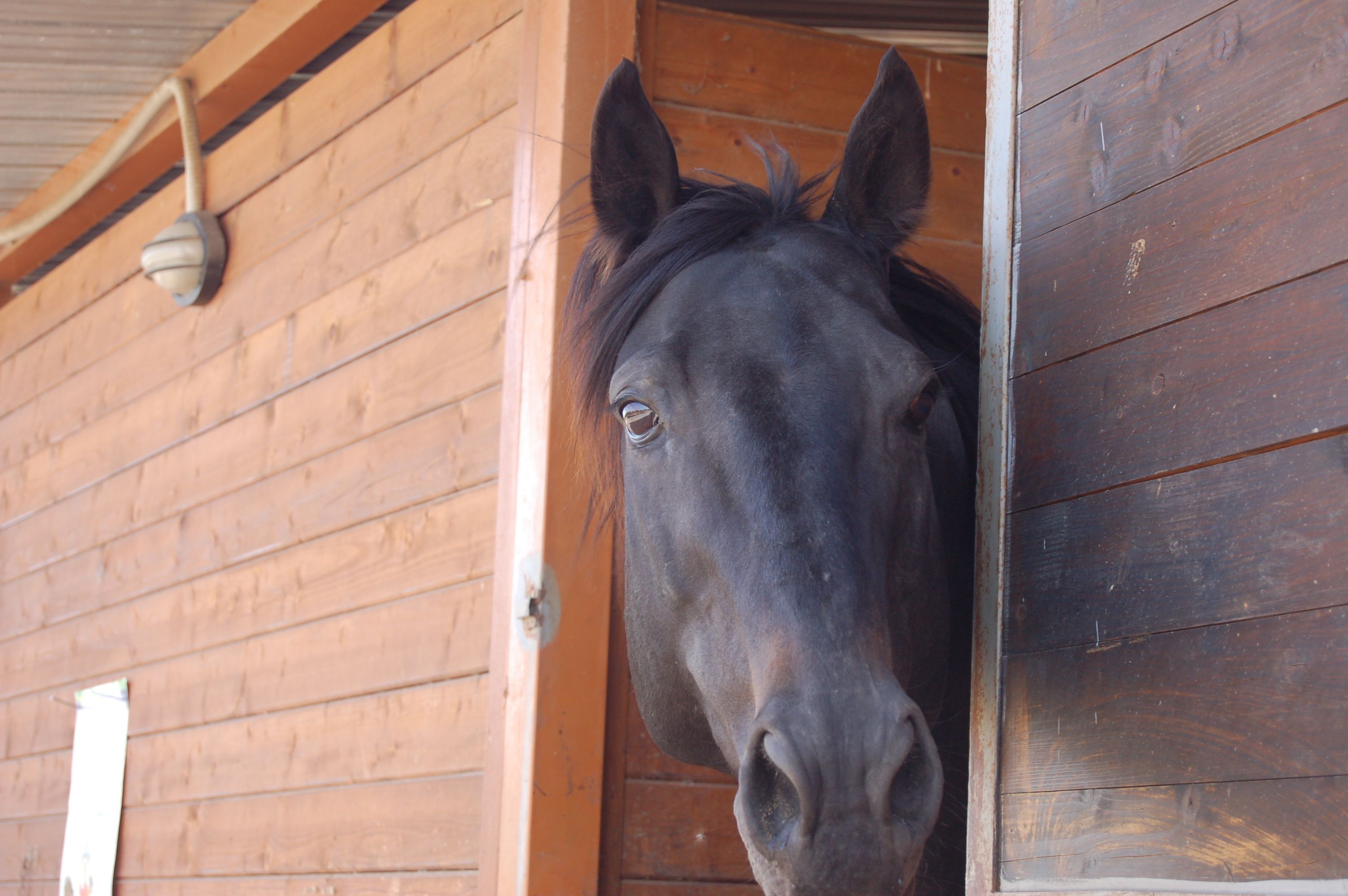 Photo - Il Giardino Del Sole
