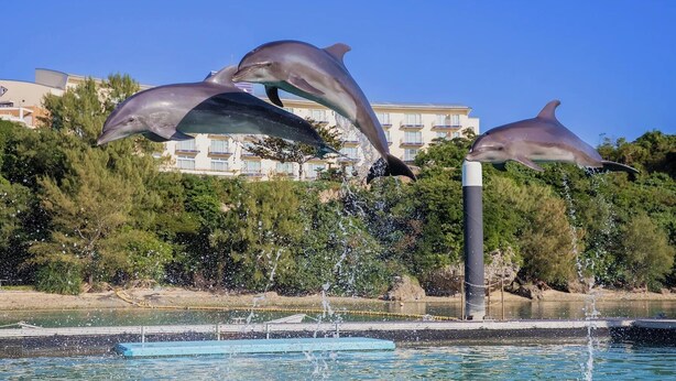 Three dolphins leaping out of the water in a fountain, with a hotel and greenery in the background. - Marine Piazza Okinawa (Motobu)