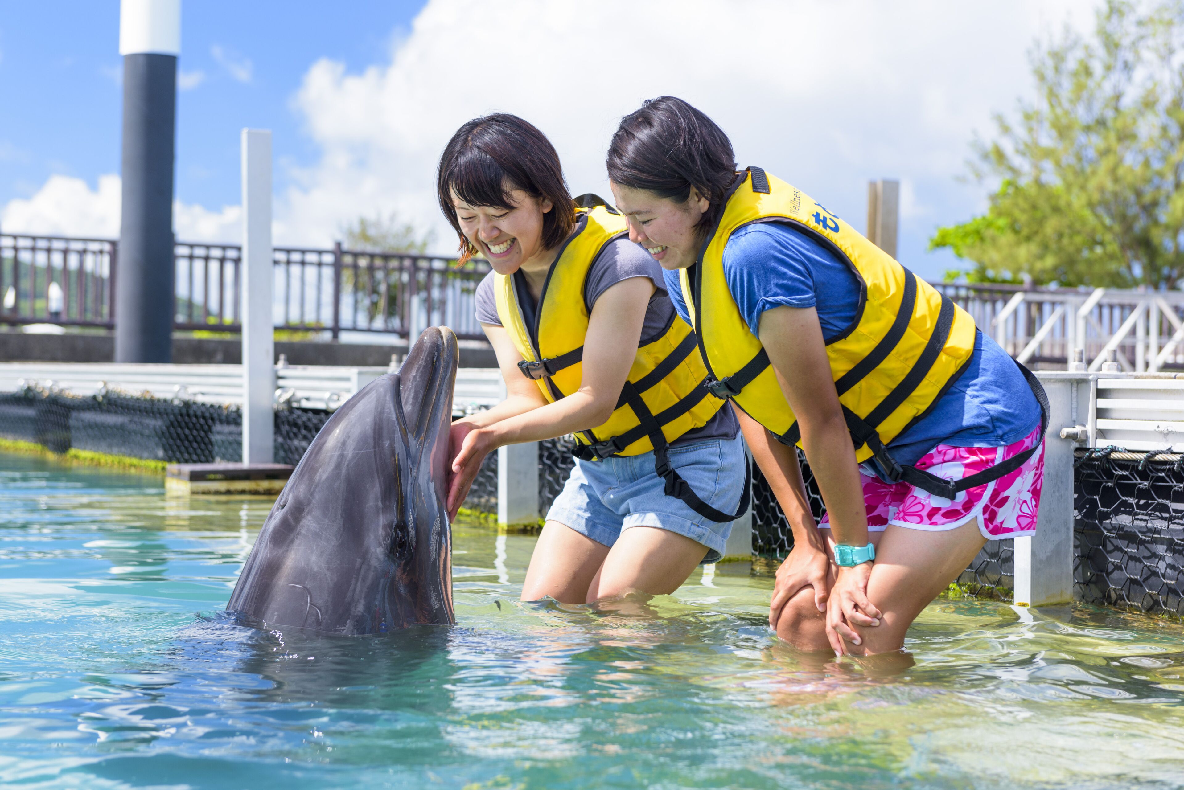 Two people in a pool with a dolphin, wearing life jackets.