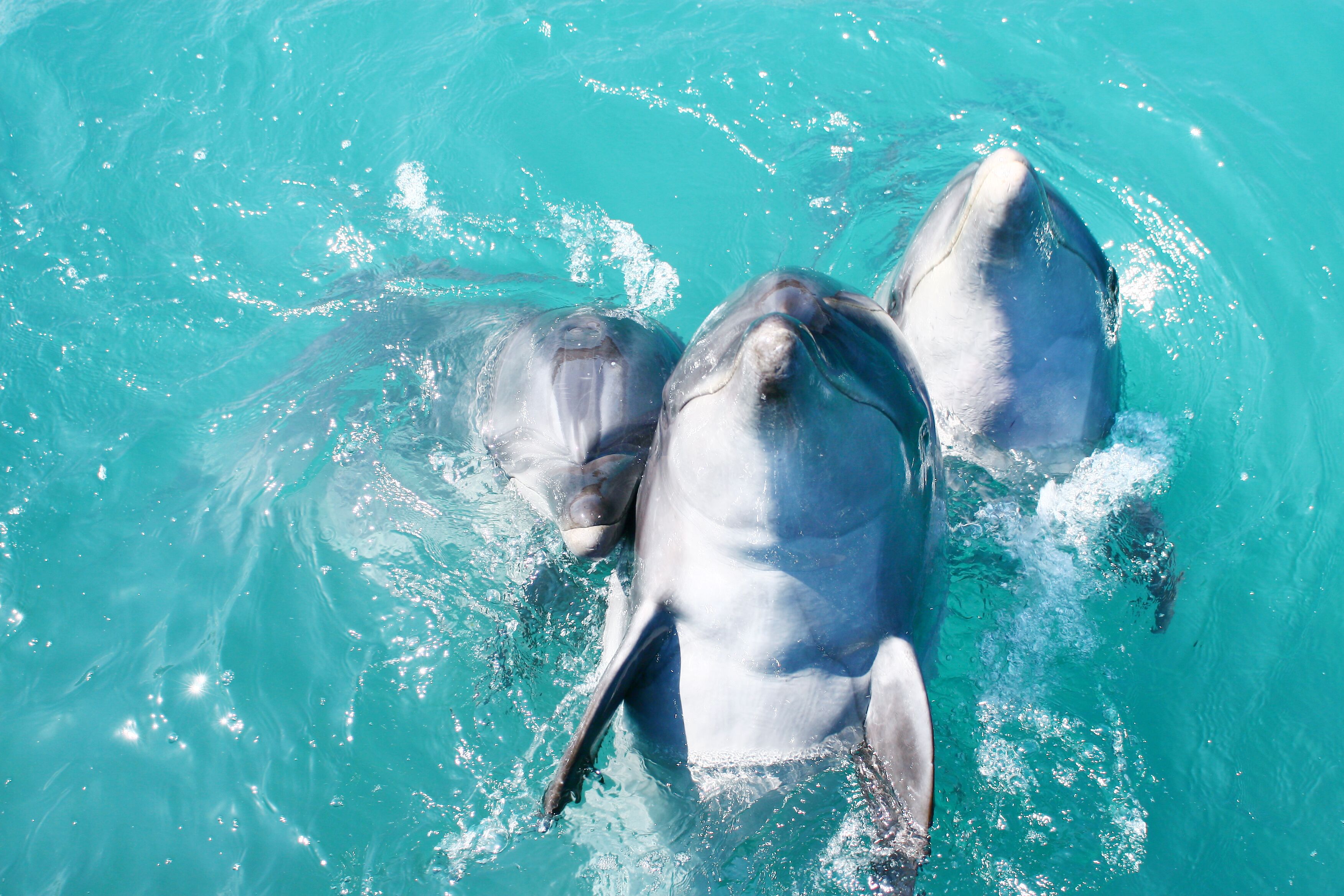 children’s activities