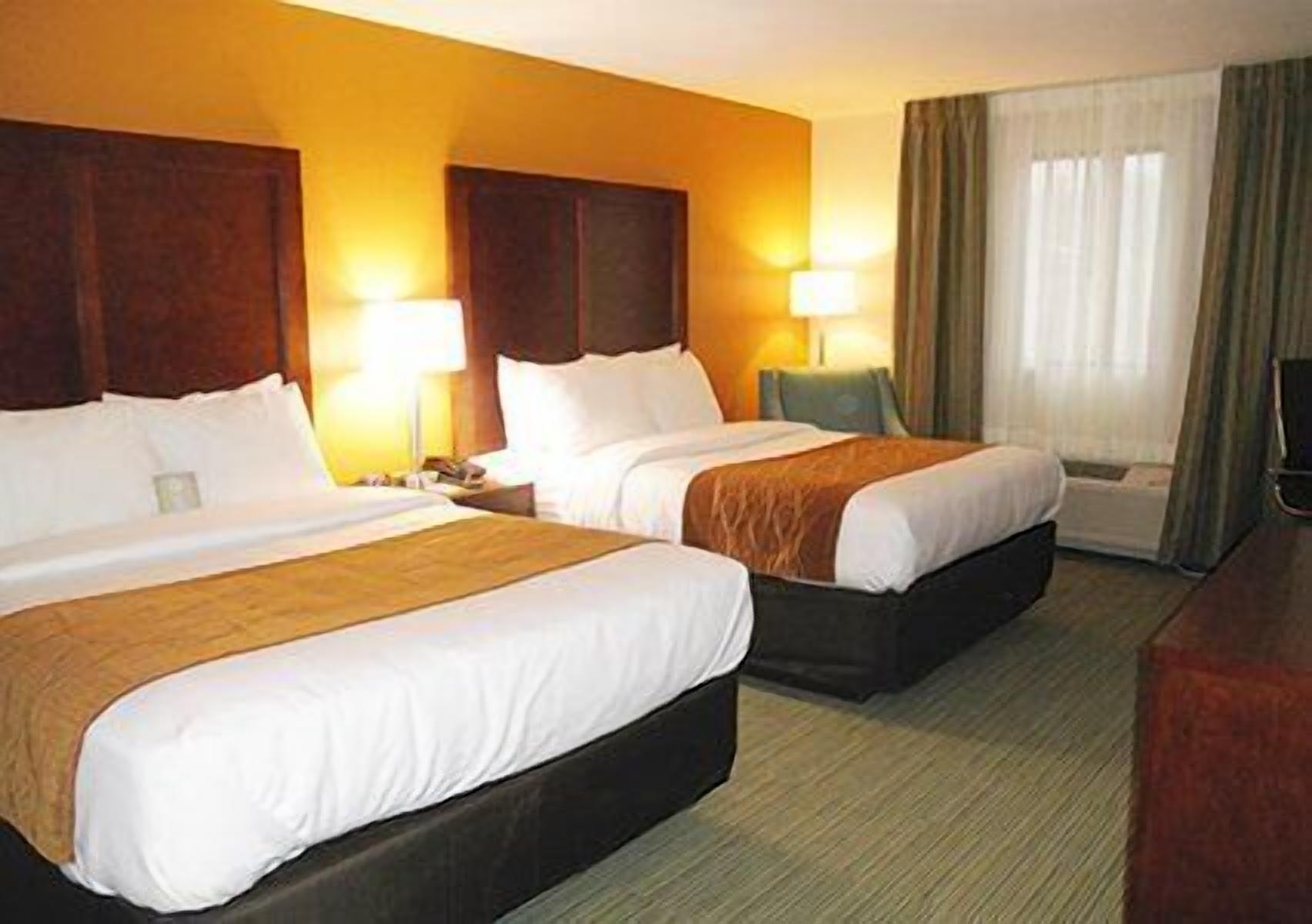 premium bedding, desk, iron/ironing board, free cots/infant beds