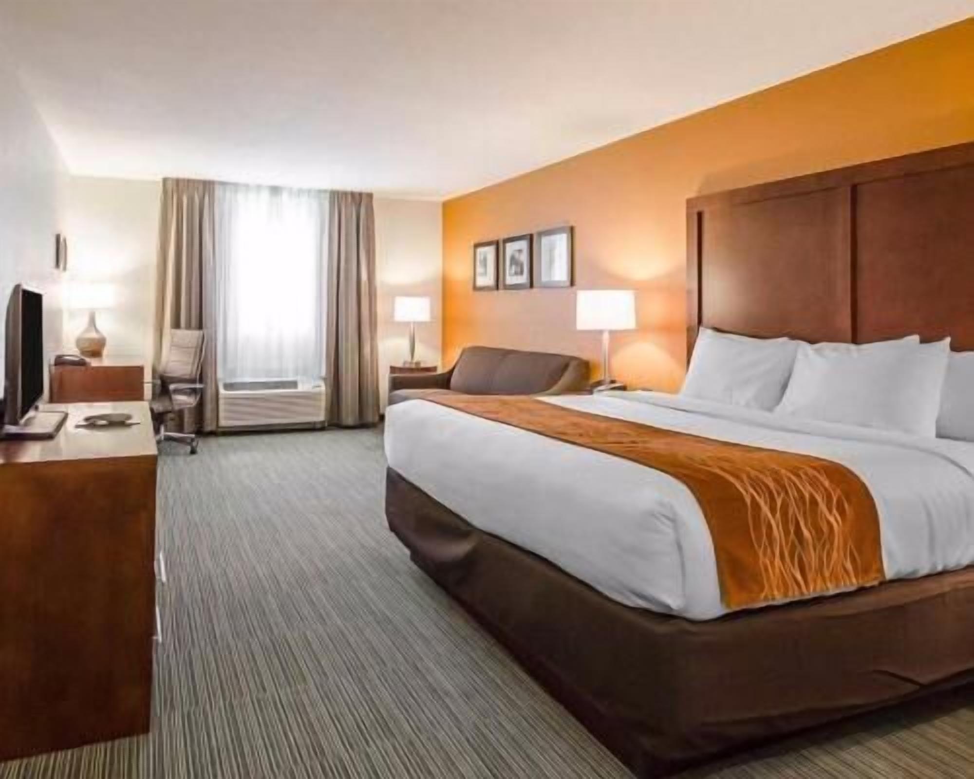 أغطية فراش متميزة ومكتب ومكواة/لوح ك ي وأسرّة أطفال/رضّع (مجانًا)