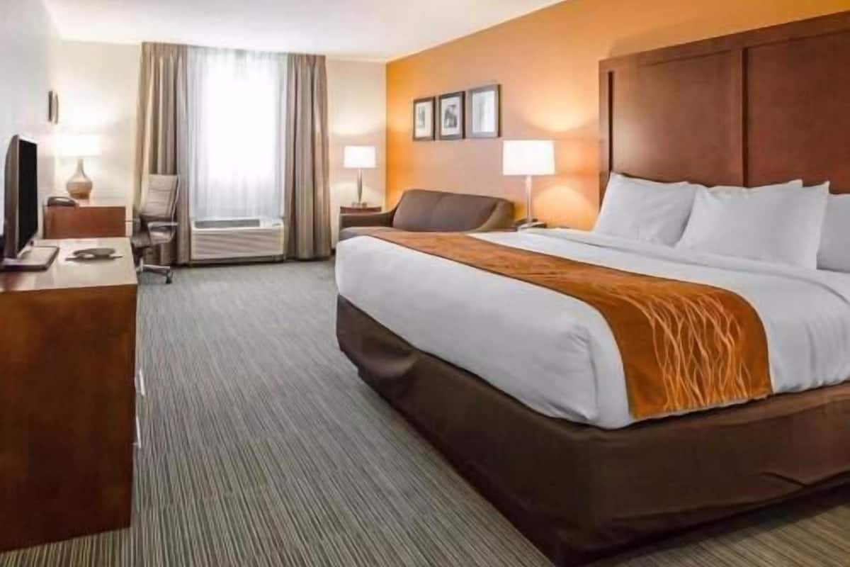 Premium bedding, desk, iron/ironing board, free cribs/infant beds