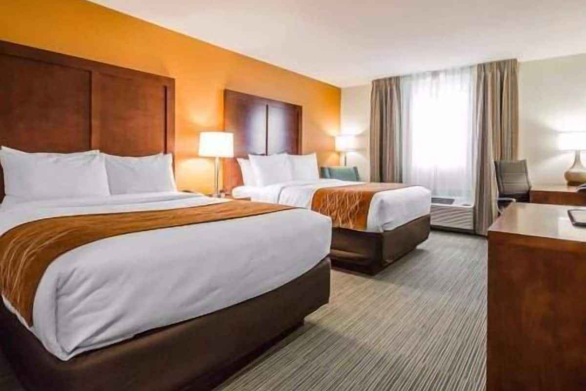 Premium bedding, desk, iron/ironing board, free cribs/infant beds