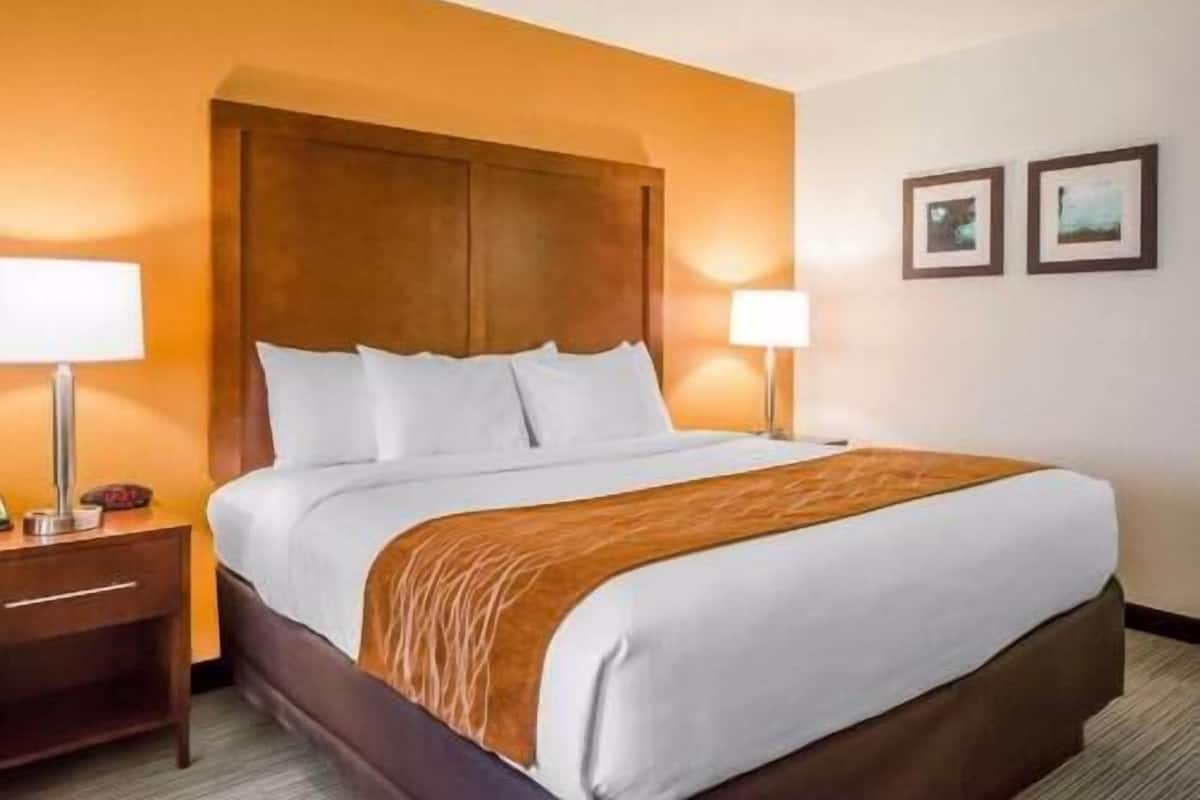 Premium bedding, desk, iron/ironing board, free cribs/infant beds