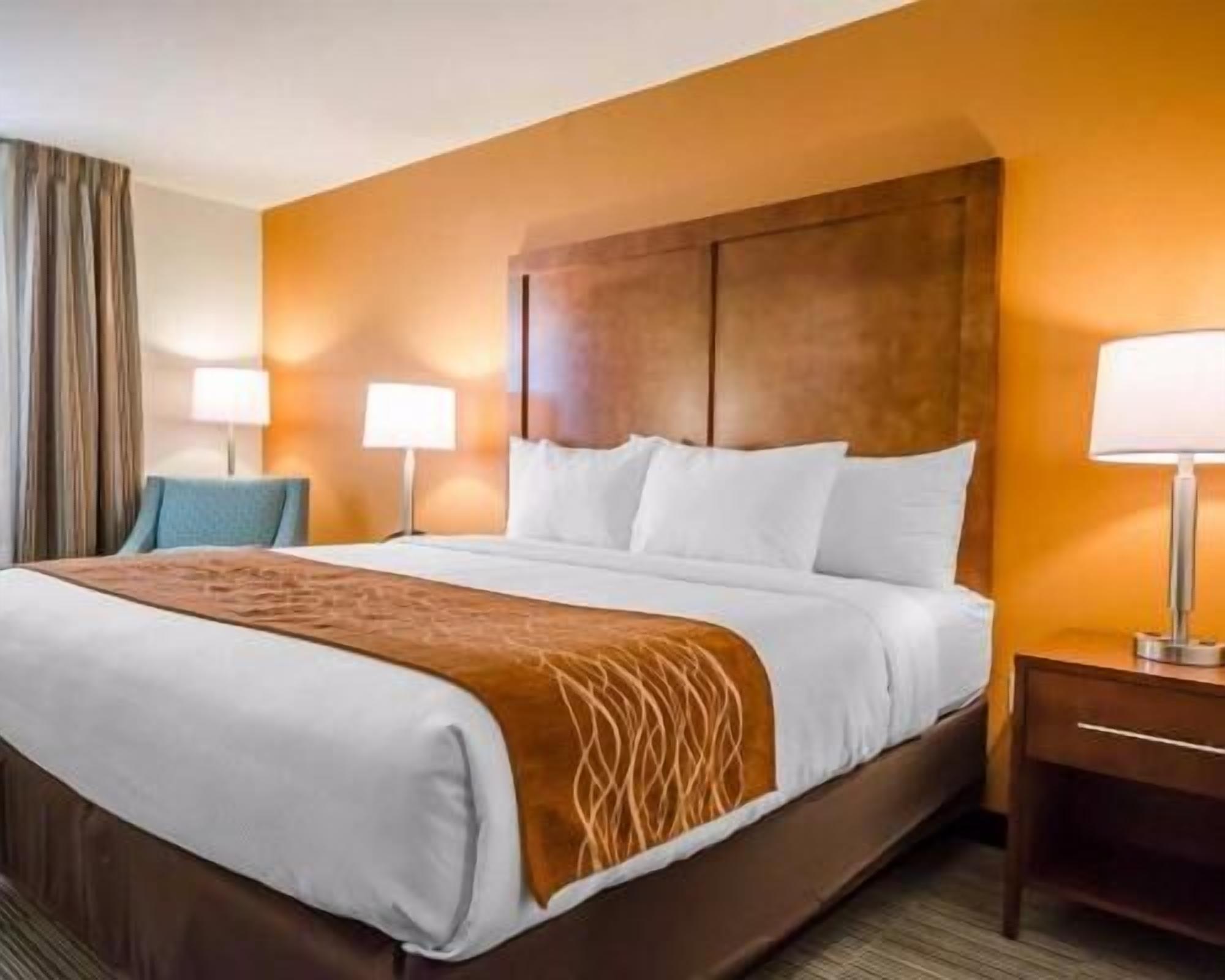 أغطية فراش متميزة ومكتب ومكواة/لوح كي وأسرّة أطفال/رضّع (مجانًا)