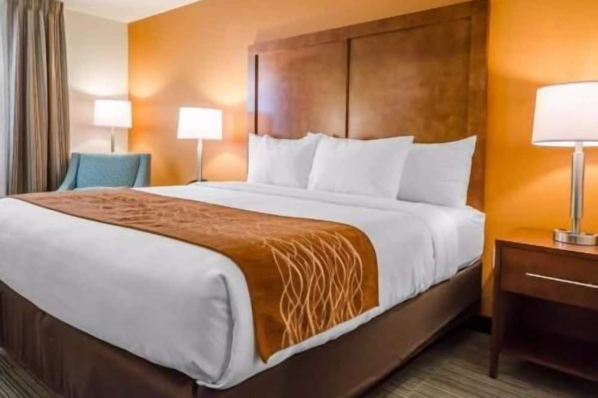 Premium bedding, desk, iron/ironing board, free cribs/infant beds