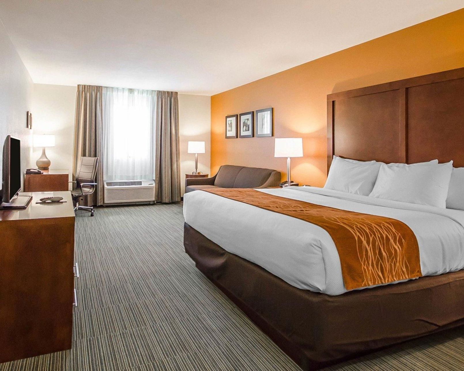 أغطية فراش متميزة ومكتب ومكواة/لوح كي وأسرّة أطفال/رضّع (مجانًا)