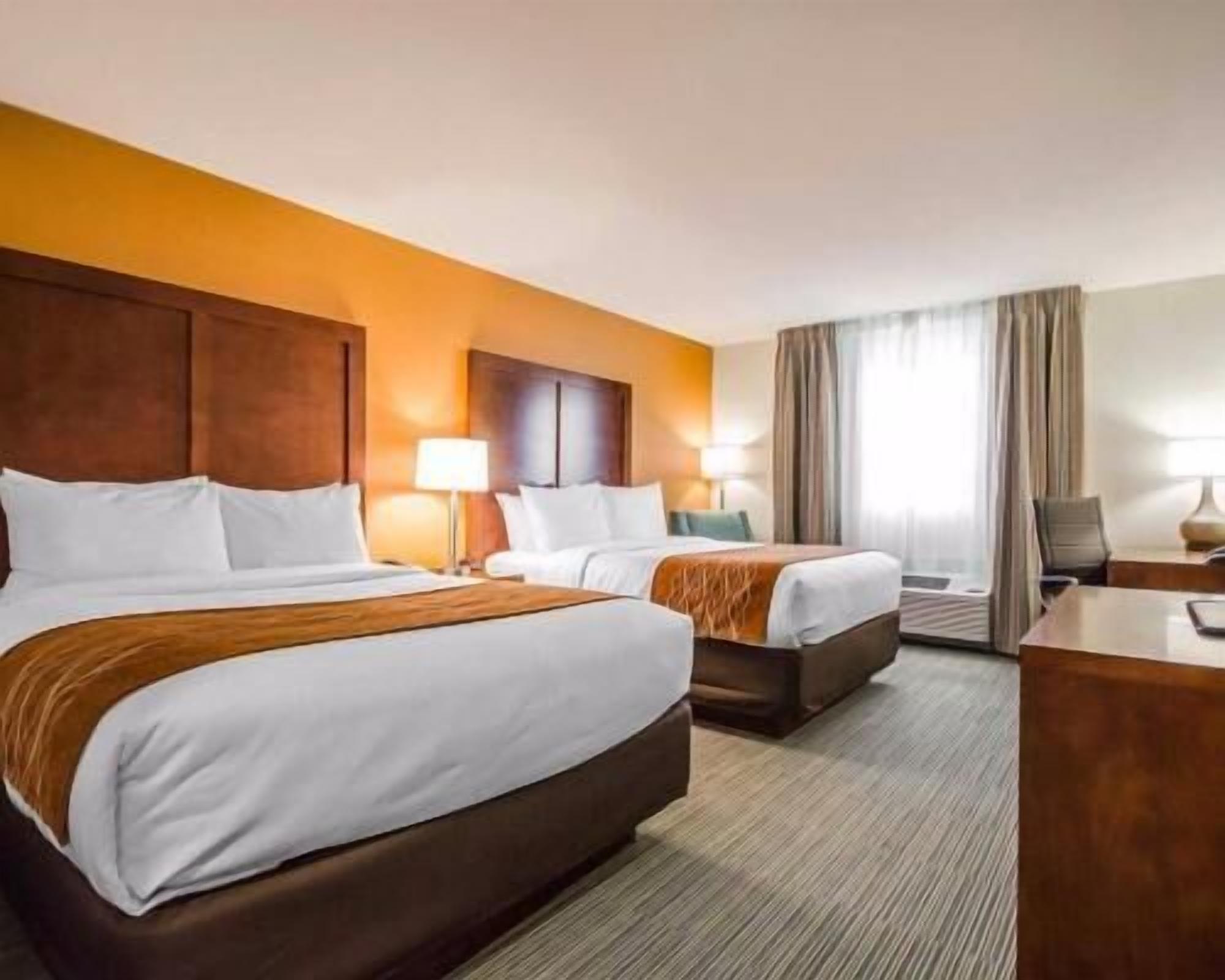 أغطية فراش متميزة ومكتب ومكواة/لوح كي وأسرّة أطفال/رضّع (مجانًا)