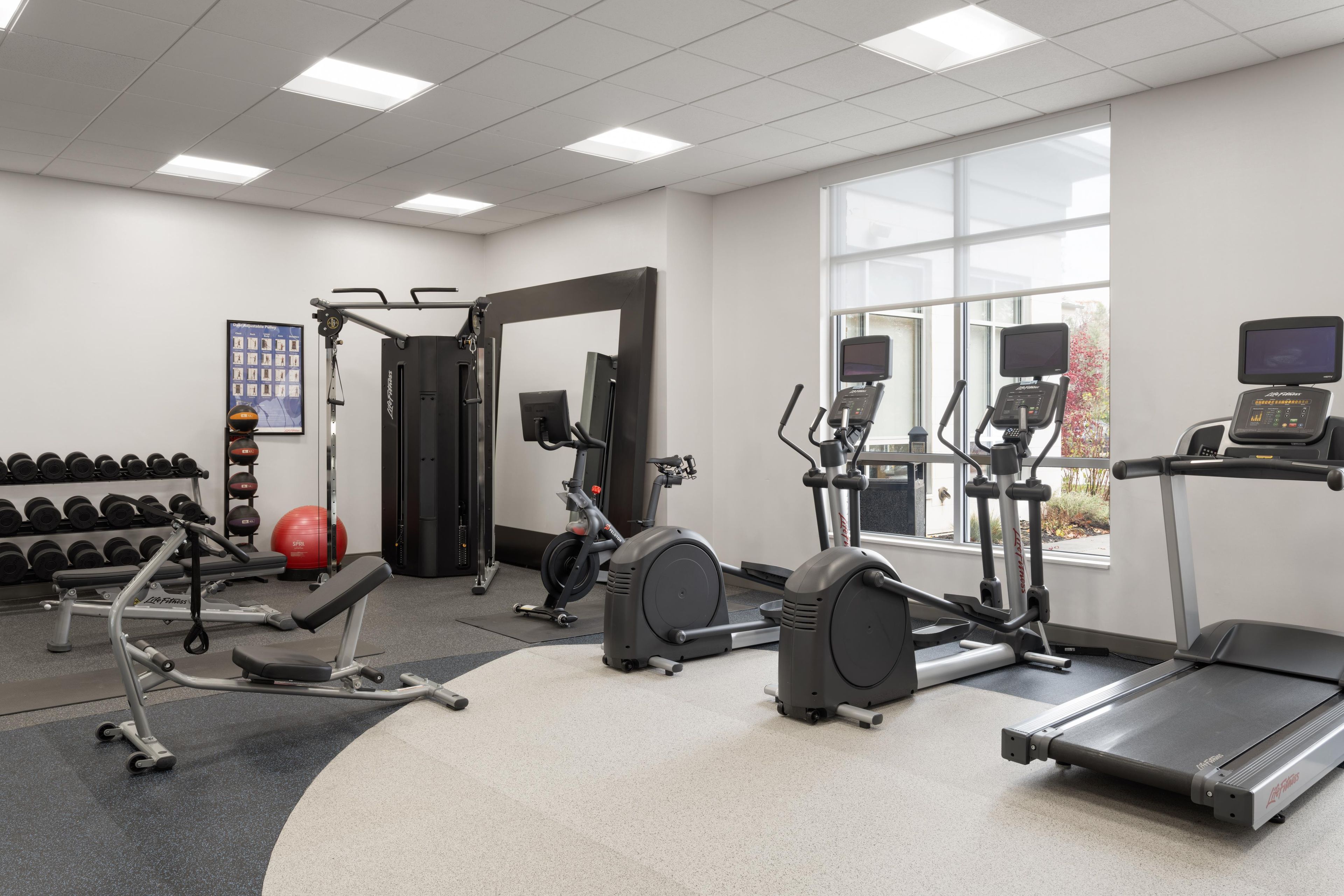 Un gimnasio con máquinas de cardio, mancuernas y una banca.