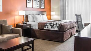 Una habitación de hotel con cama, escritorio, silla, sofá y lámpara.