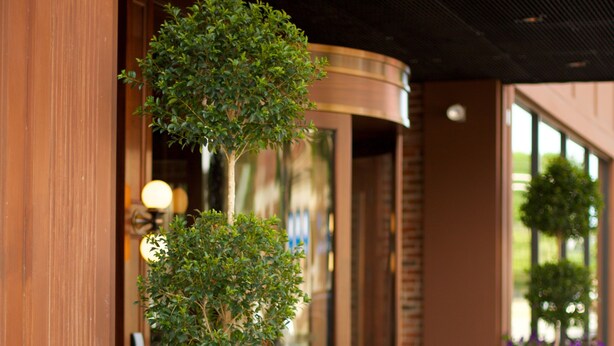A building entrance with a large planter with purple flowers and a small tree. - Hotel On North (Pittsfield)