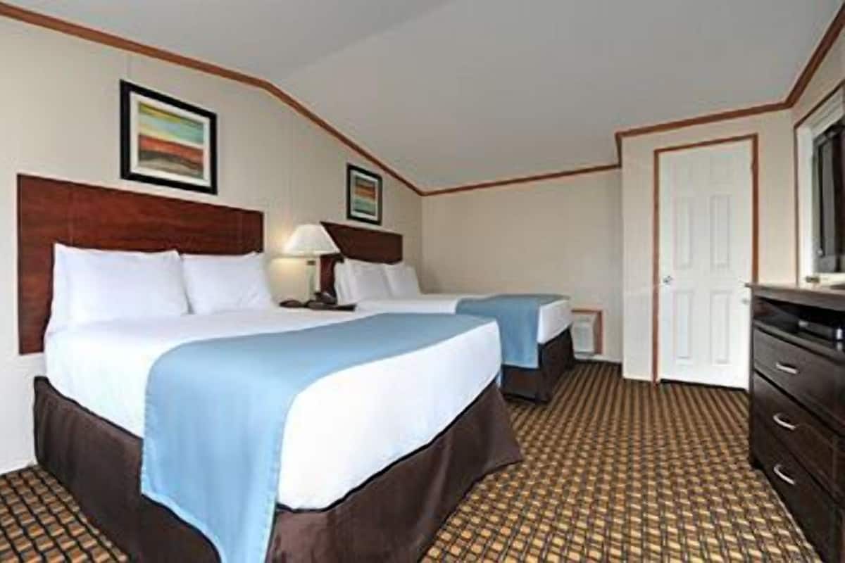 A hotel room with two beds, a dresser, a television, and a patterned carpet.