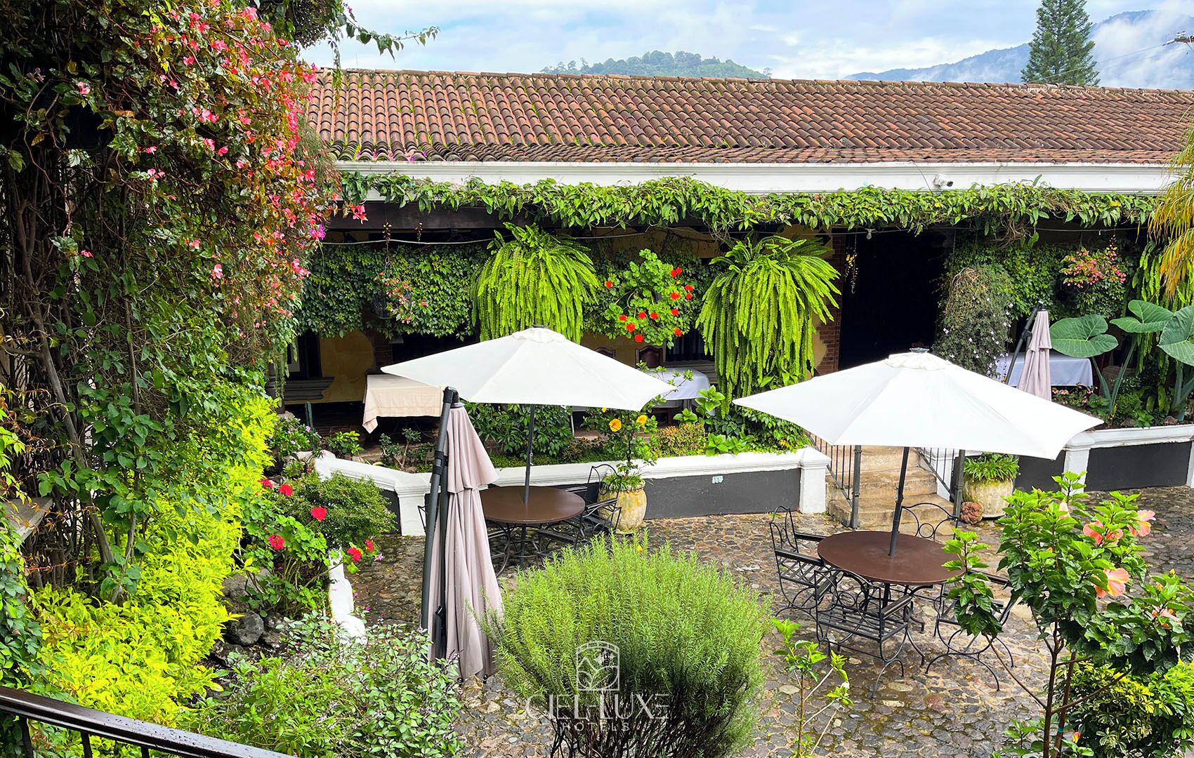 breakfast, lunch, dinner served; international cuisine