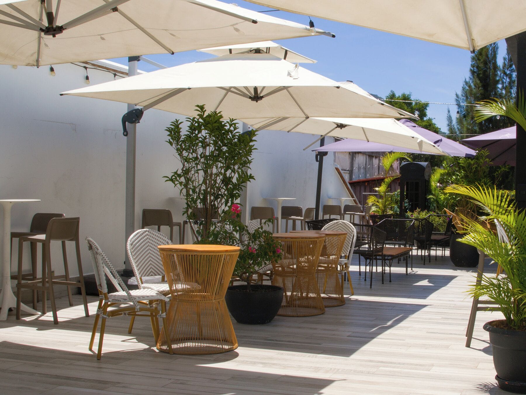 Terras