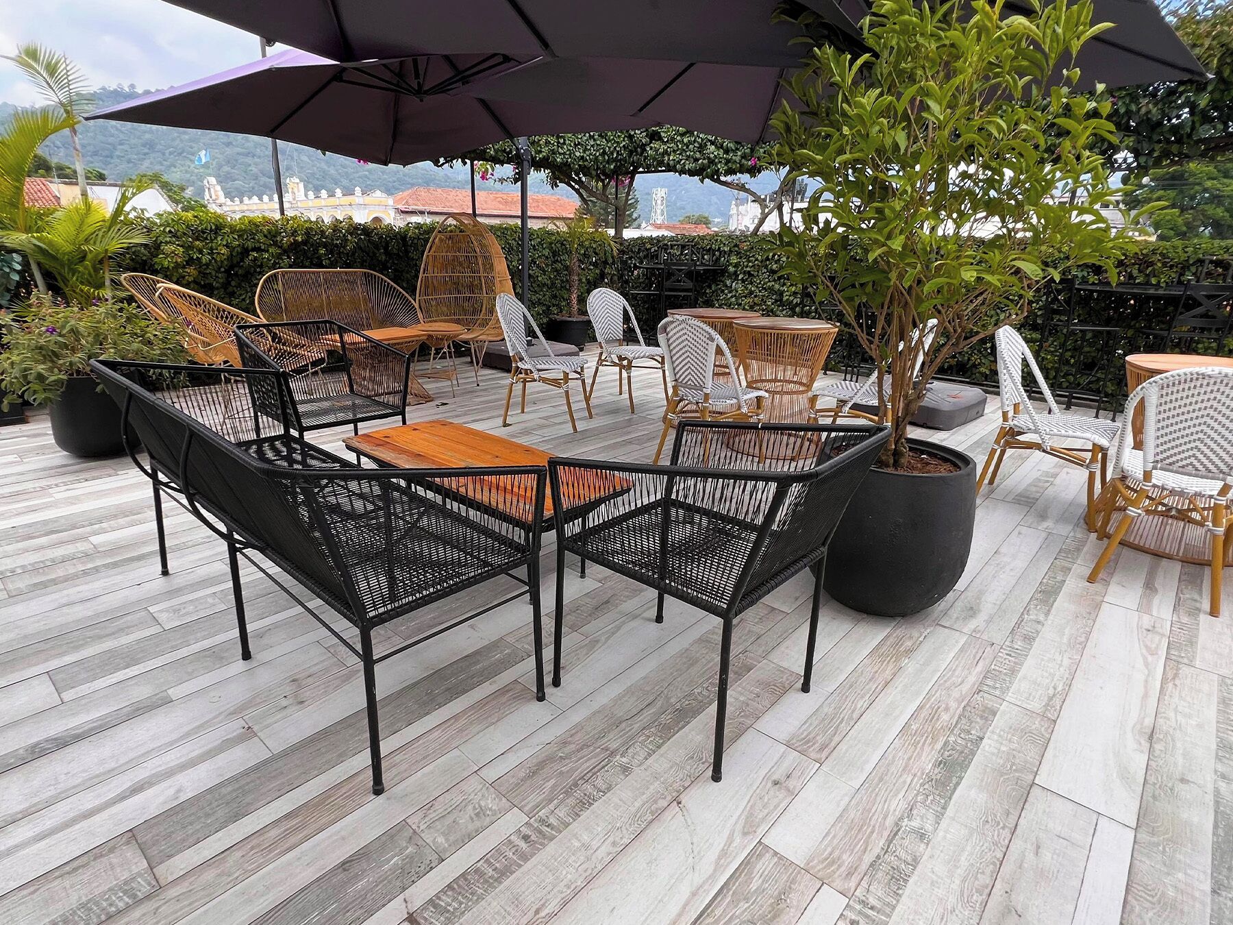 Terras