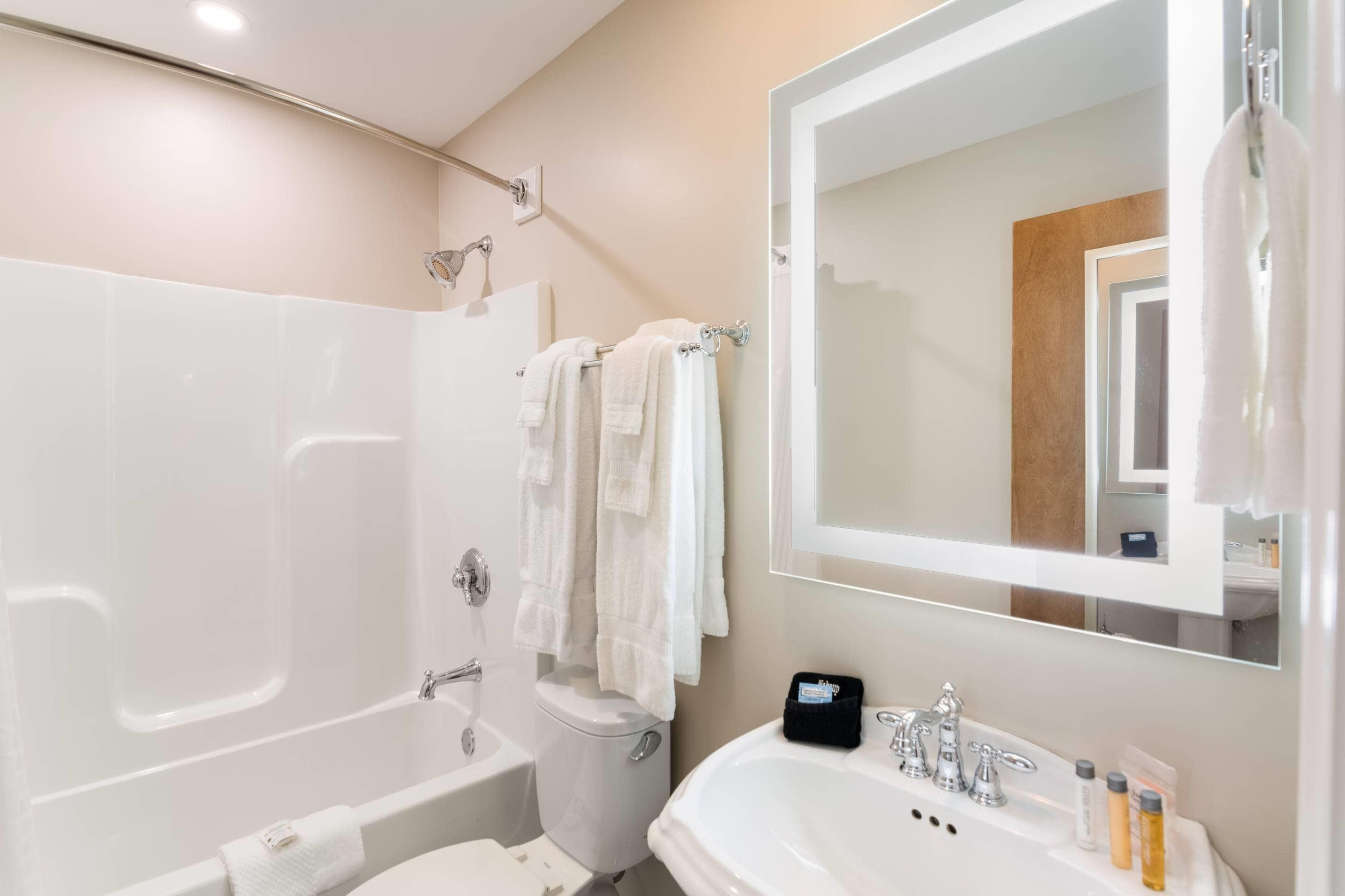 Une salle de bain avec une baignoire, des toilettes, un lavabo et un grand miroir.