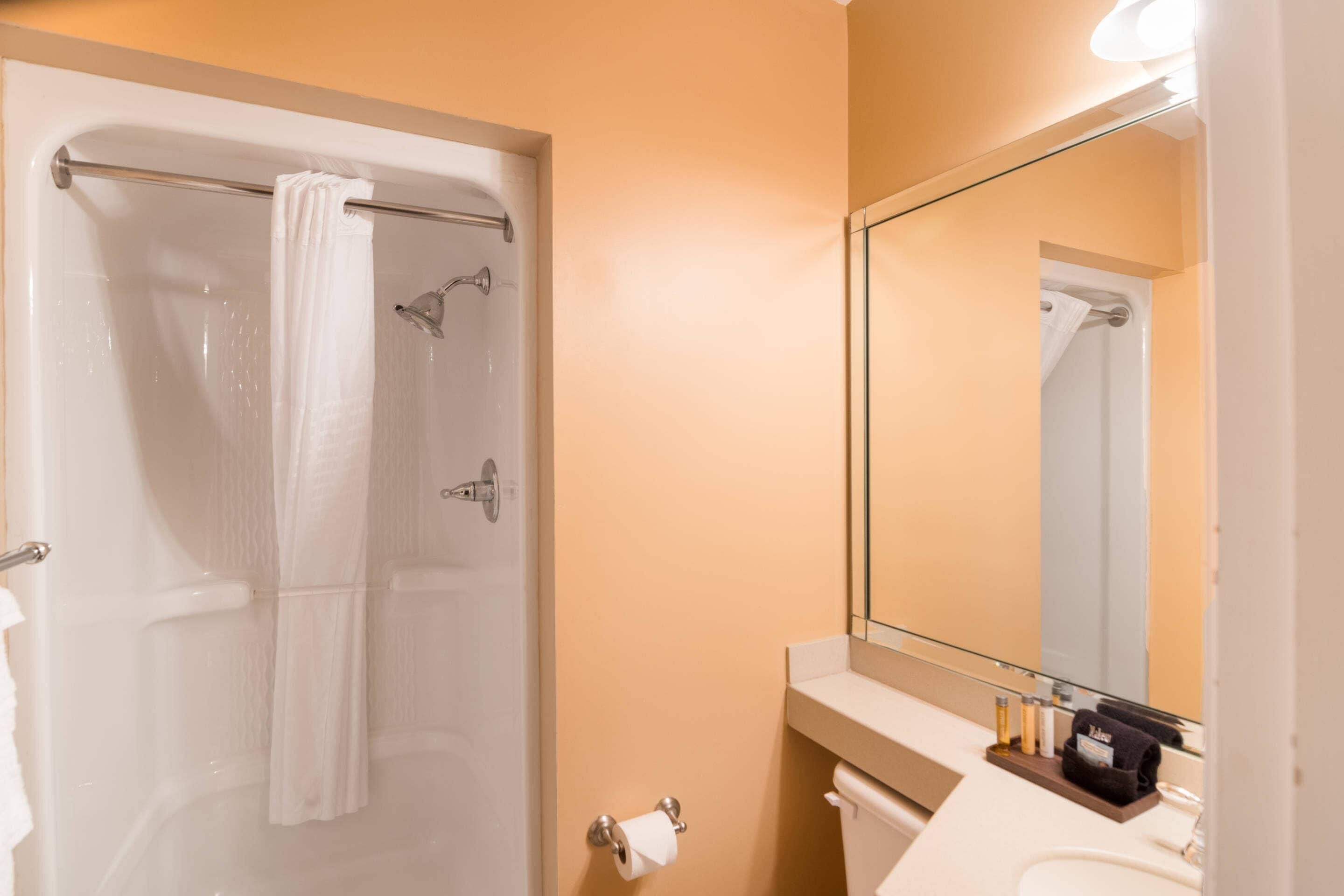 A bathroom with a shower, toilet, sink, and a mirror.