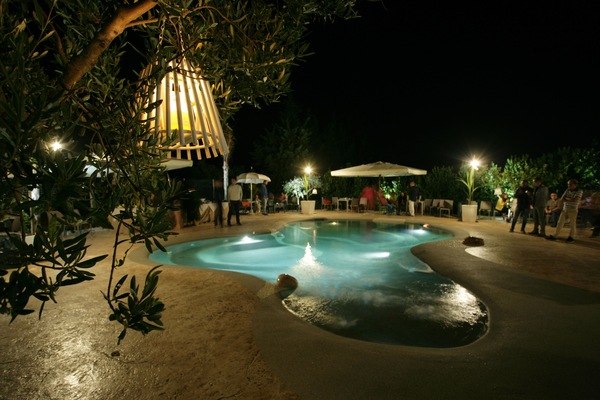 Seasonal outdoor pool, a natural pool, sun loungers