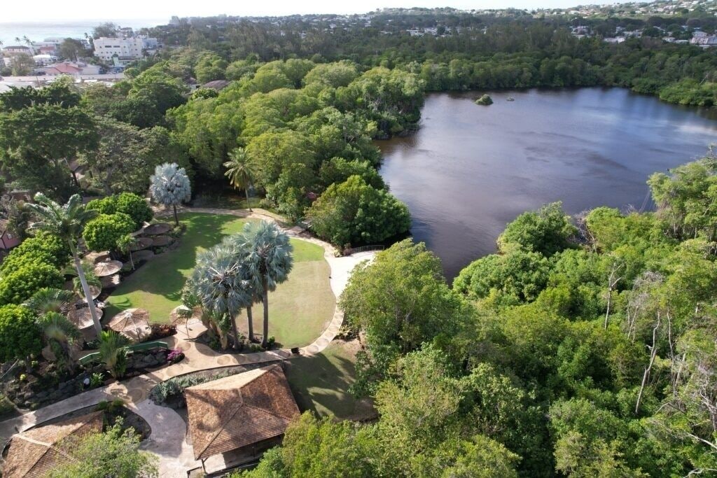 Un paisaje exuberante con una masa de agua, vegetación densa y una vista despejada del entorno.