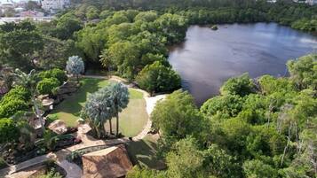 A lush landscape with a body of water, dense greenery, and a clear view of the surrounding area.
