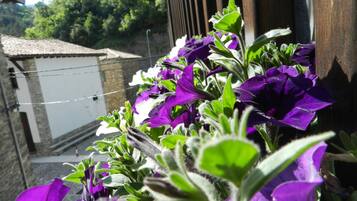 Un balcó amb flors morades, una barana de fusta i una vista d'un edifici amb teulada de rajol.