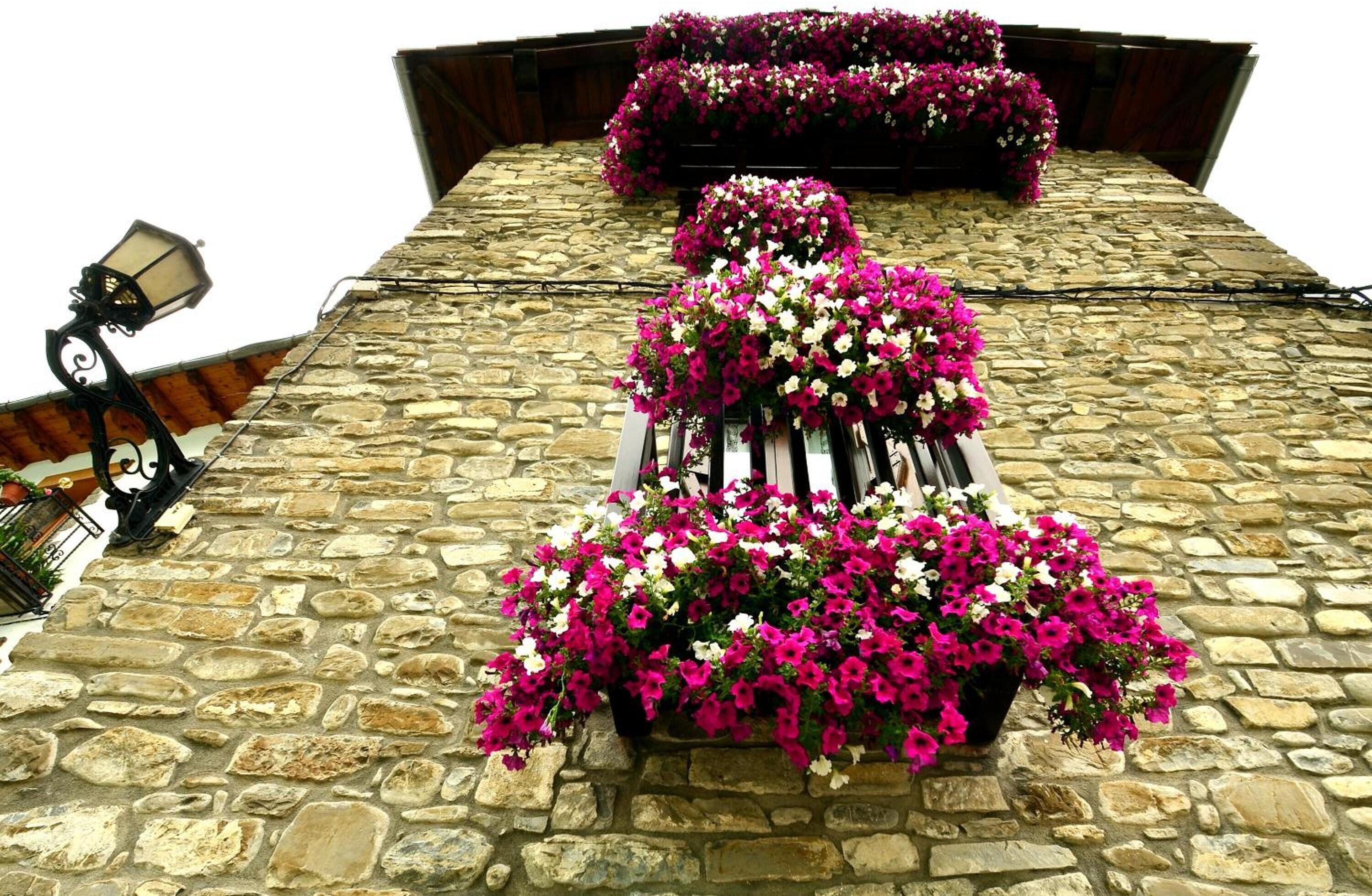Un edificio de piedra con techo inclinado, escalones de piedra que llevan a una puerta de madera y jardineras con flores rosas y blancas.