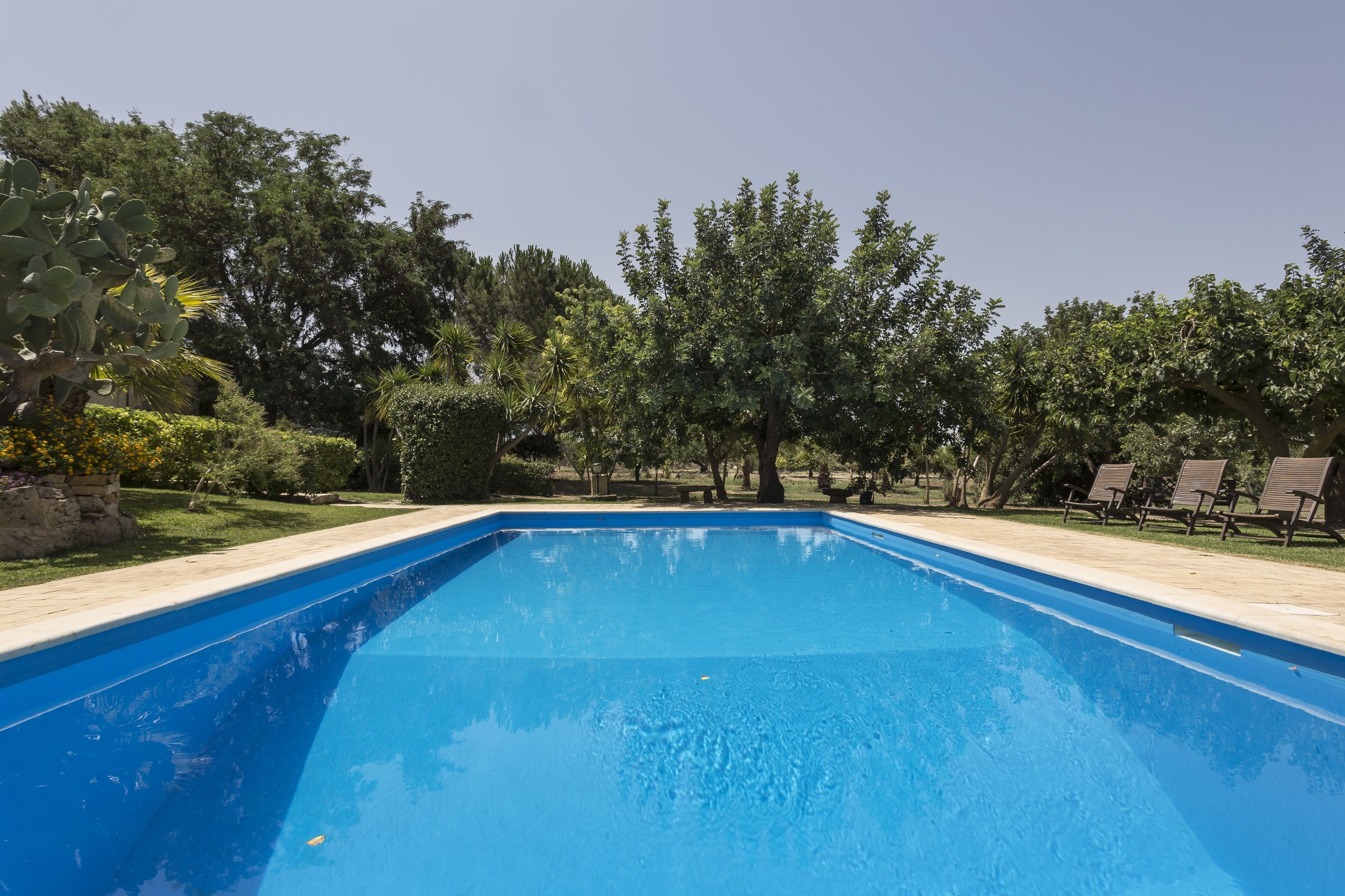 A rectangular swimming pool with a clear blue water surface, surrounded by a stone deck and lush greenery including various trees and shrubs.