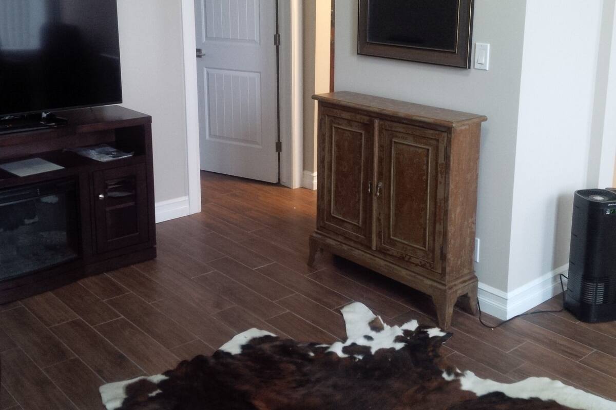 A living room with a flat-screen TV, wooden cabinets, a cowhide rug, and a door leading to another room.