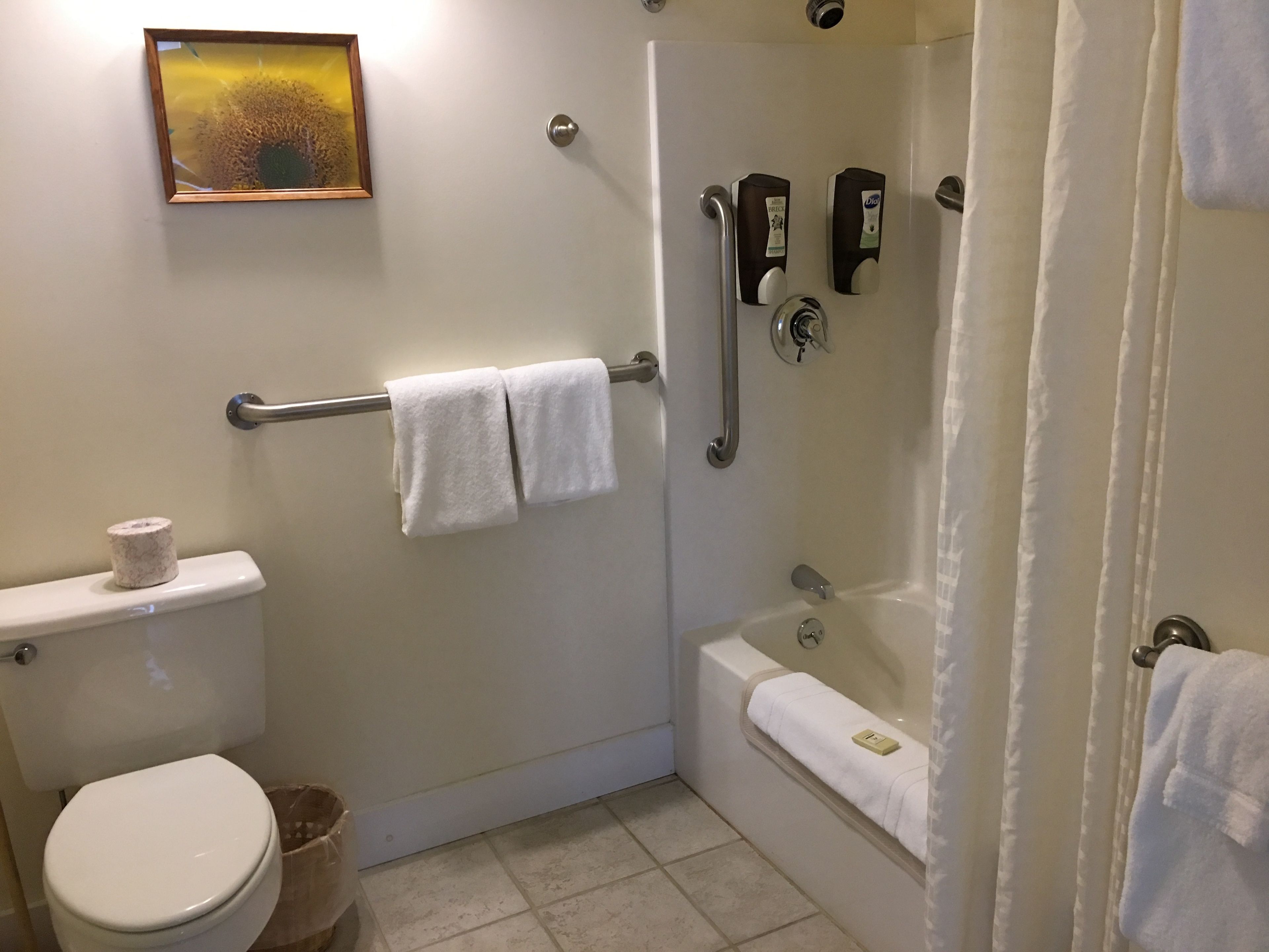A bathroom with a toilet, a shower, and a bathtub. There are two towels hanging on a towel bar.