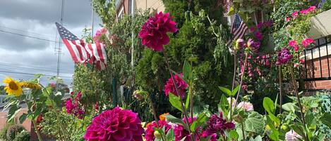 Un jardin aux fleurs éclatantes, orné de drapeaux américains.