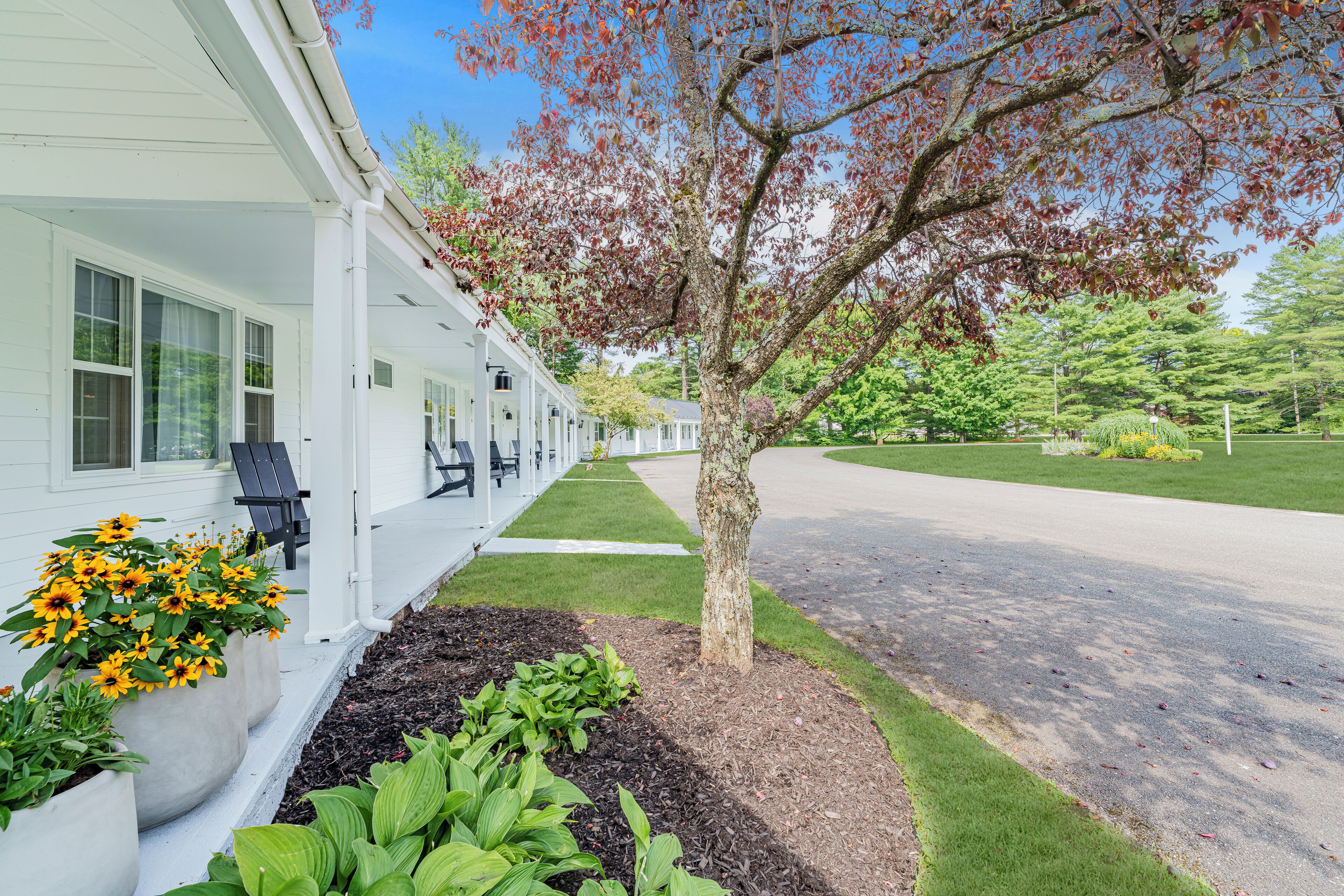 deluxe king | 1 bedroom, egyptian cotton sheets, premium bedding, desk