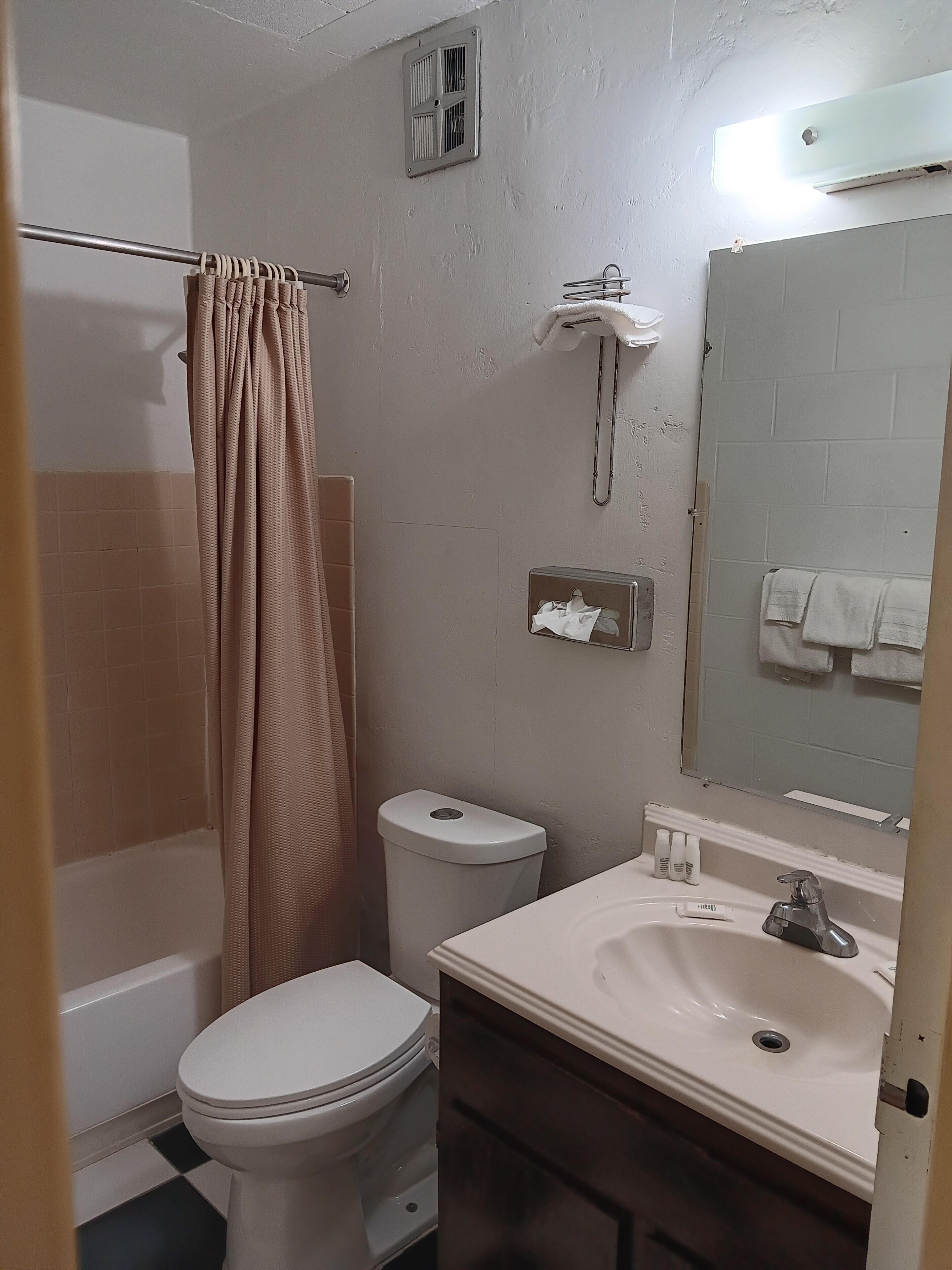 A bathroom with a toilet, a sink, a mirror, and a shower curtain.