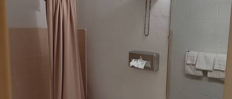 A bathroom with a toilet, a sink, a mirror, and a shower curtain.