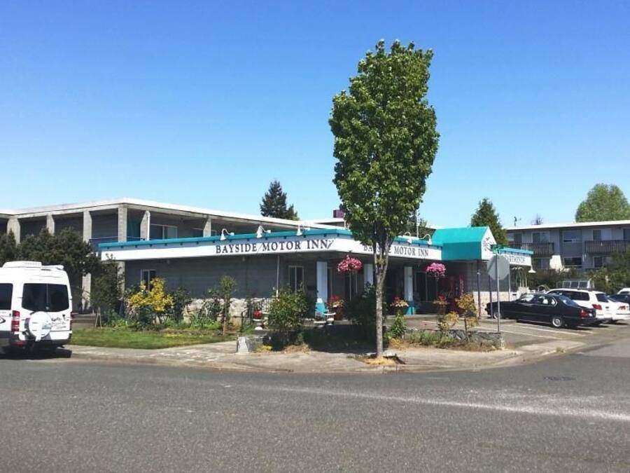 Un motel Bayside Motor Inn avec un parking, un fourgon blanc et un arbre devant.