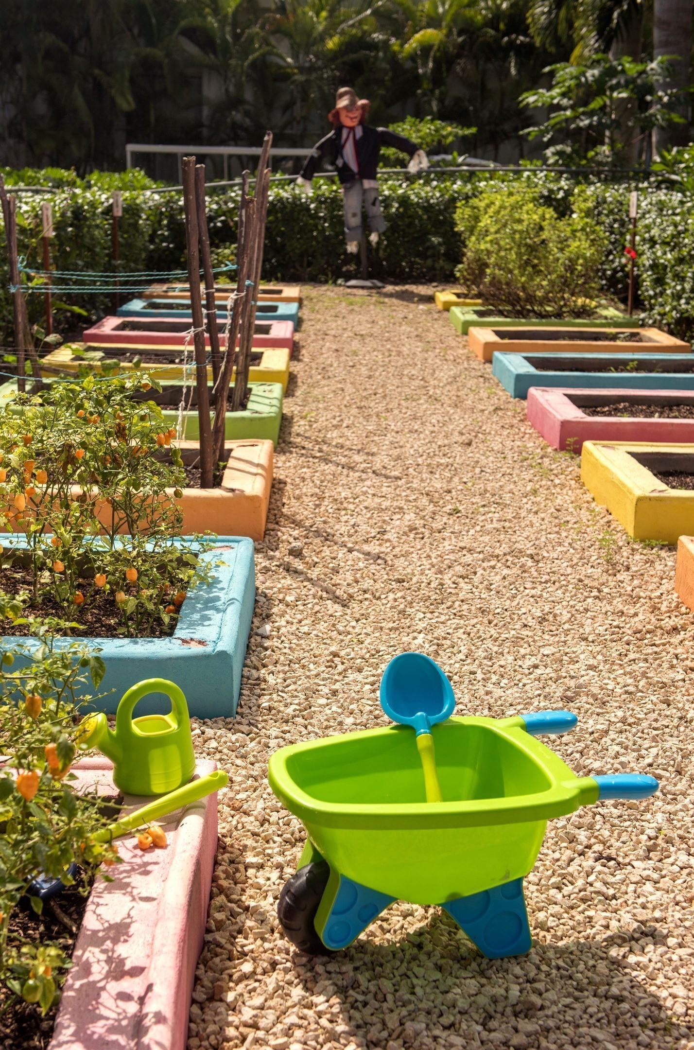 Photo - Princess Family Club Riviera - All Inclusive