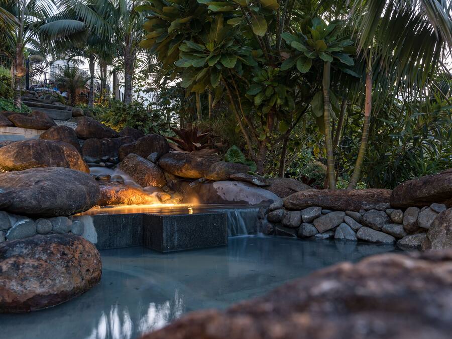 Jardín rocoso con fuente de agua y plantas tropicales.