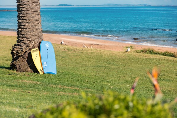 A beach with a palm tree and surfboards.