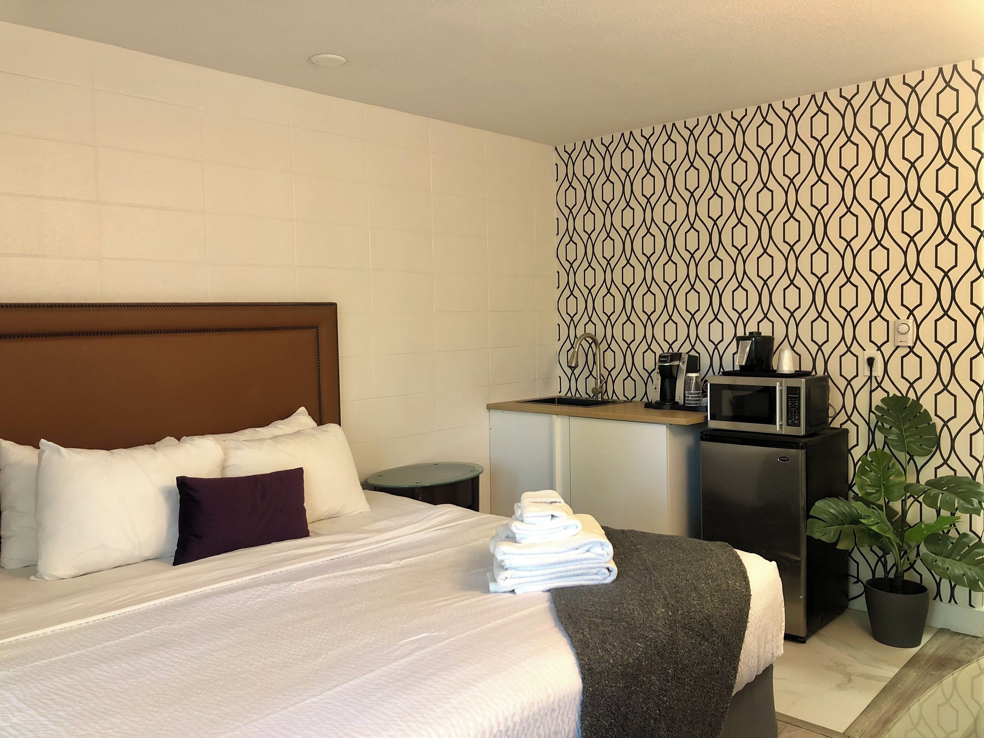 A hotel room with a bed, a small kitchenette, a potted plant, and a patterned wall.