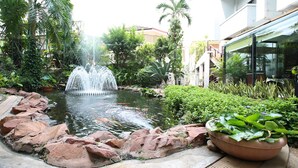 Un jardín tranquilo con una fuente central, rodeado de rocas y abundante vegetación.