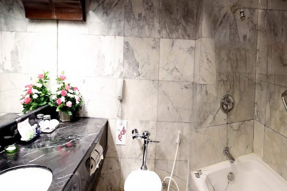 combined shower/bathtub, free toiletries, hair dryer, towels