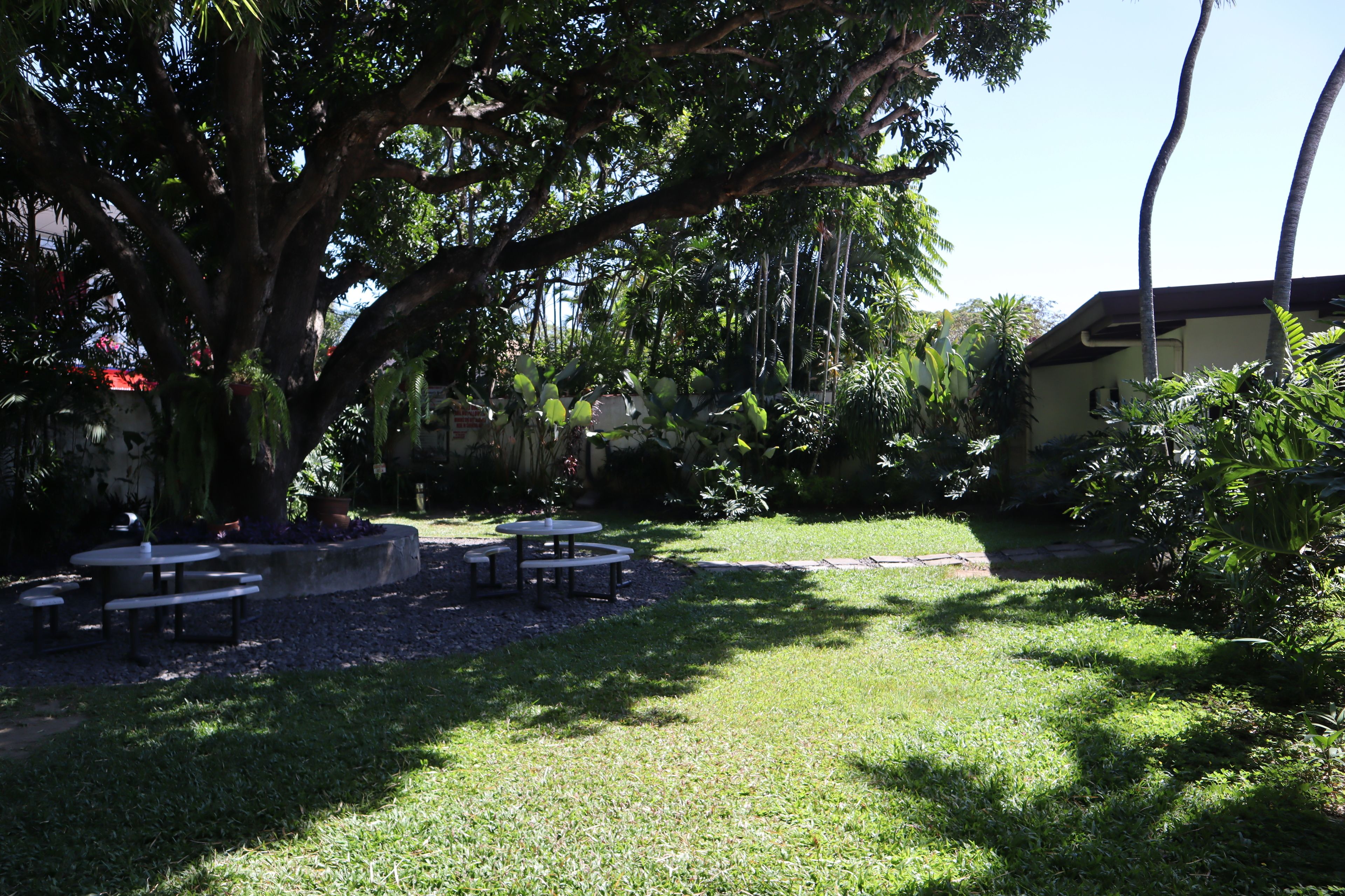 A garden with picnic tables and a large tree.