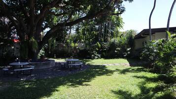 A garden with picnic tables and a large tree.