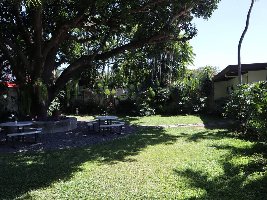 A garden with picnic tables and a large tree.