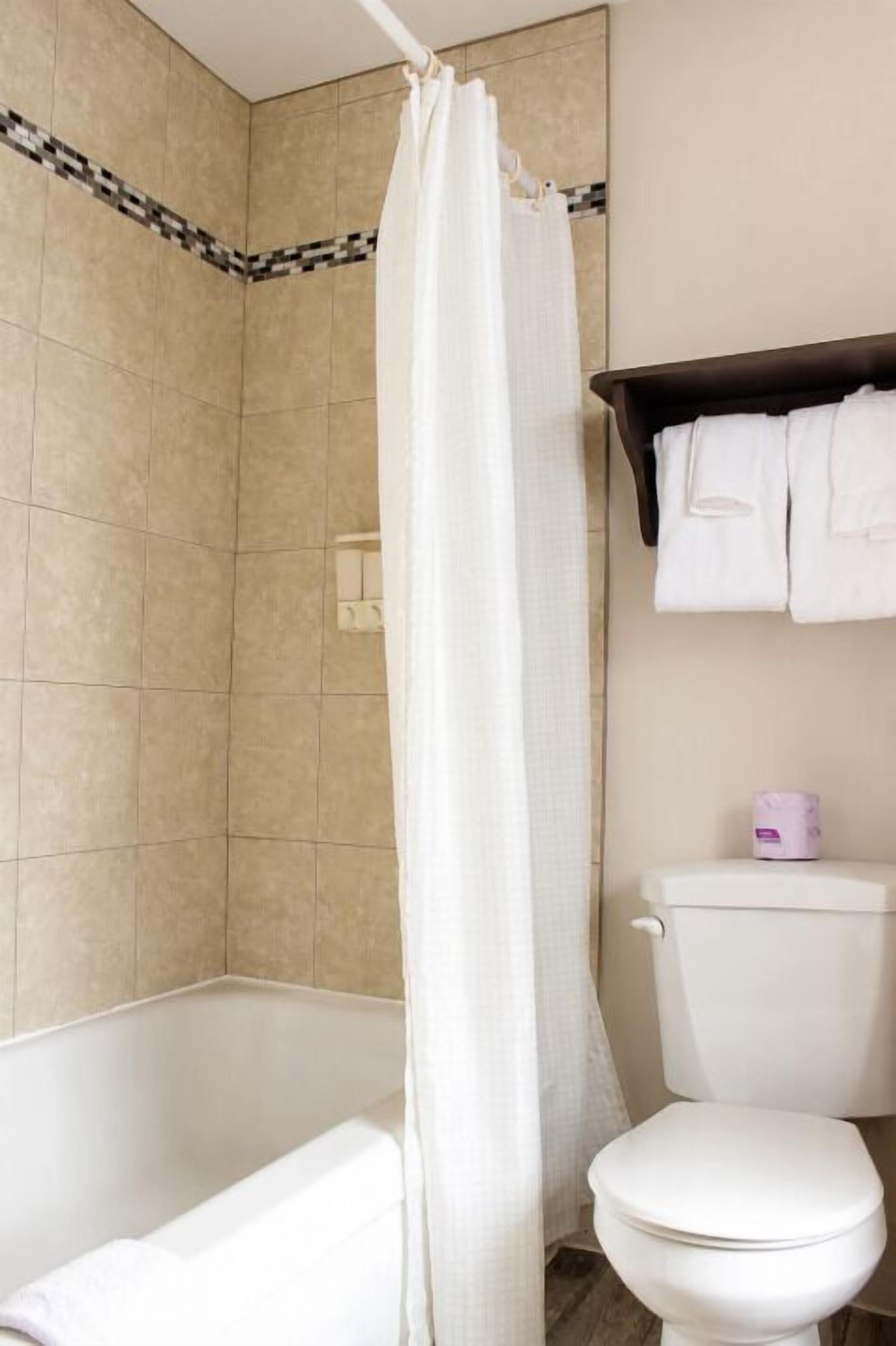Un bagno con vasca, servizi igienici e tenda da doccia.