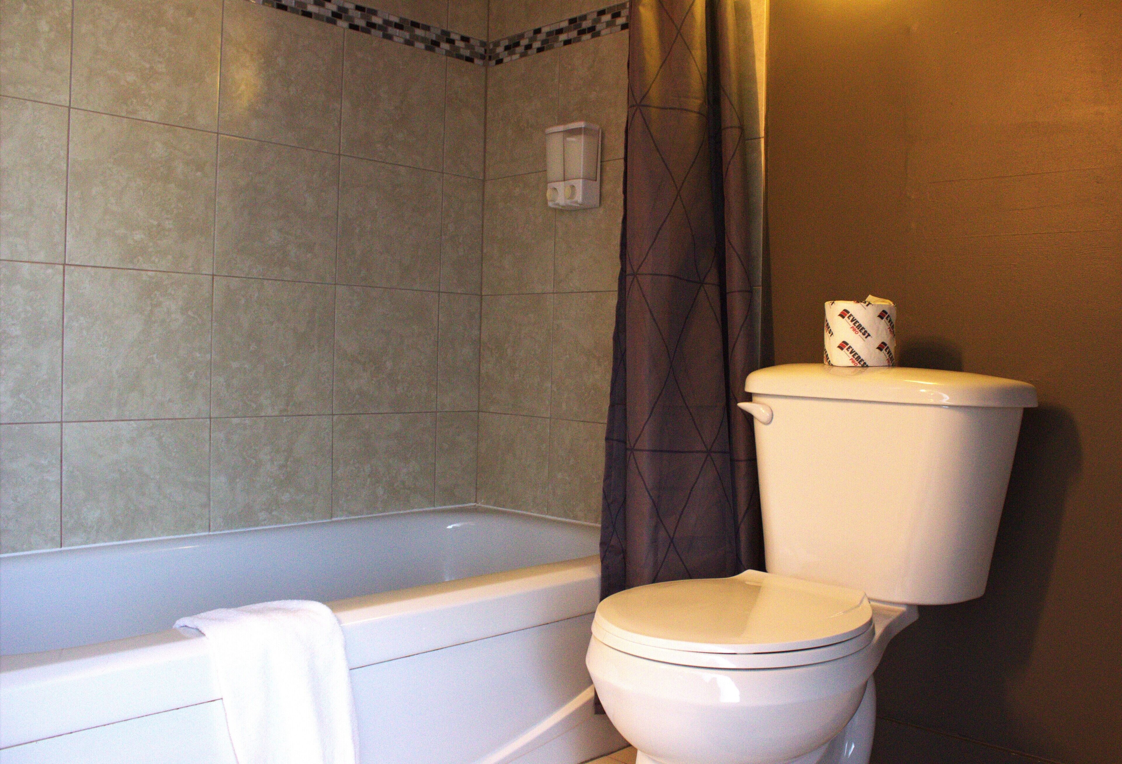 Une salle de bain avec une baignoire, des toilettes et un rideau de douche.