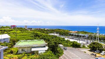 Beach/ocean view